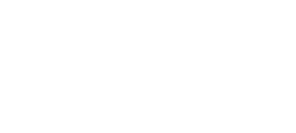 Fullstack Web Components | newline